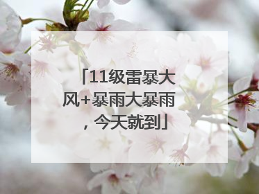 11级雷暴大风+暴雨大暴雨，今天就到